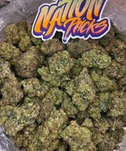 Blueberry Pancake Strain